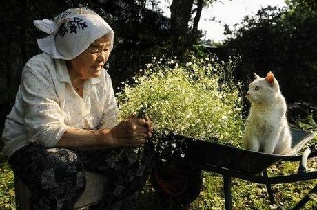 cute, sweet, cool, cat, funny cats, best friends, pets, Heartwarming: Old Lady Misa and Her Cat Best Friend Fukumaru