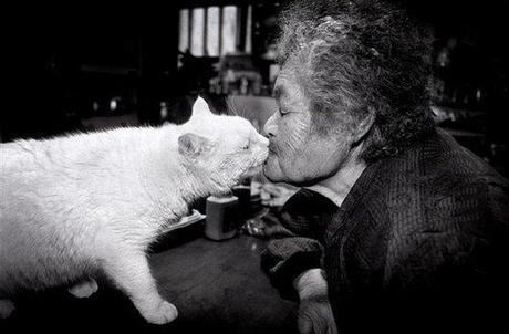 cute, sweet, cool, cat, funny cats, best friends, pets, Heartwarming: Old Lady Misa and Her Cat Best Friend Fukumaru