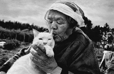 cute, sweet, cool, cat, funny cats, best friends, pets, Heartwarming: Old Lady Misa and Her Cat Best Friend Fukumaru