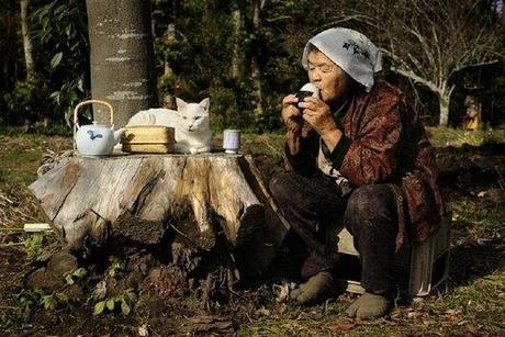 cute, sweet, cool, cat, funny cats, best friends, pets, Heartwarming: Old Lady Misa and Her Cat Best Friend Fukumaru