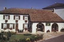 azienda masson blondelet Nettari dalla Loira: domaine Masson Blondelet