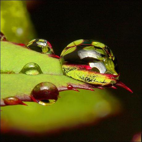 30 foto per imparare ad amare anche la pioggia