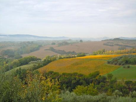 AUTUMN IN COSTA DEL LOCO