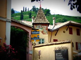 Lungo la strada del vino (weinstrasse)