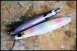 La stanza dell’autocostruzione -2- Psyco Lures