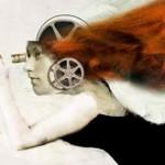 roma 150x150 CinemaShop al Festival di Roma   a tutti i followers e lettori di Oggi al Cinema sconto del 20%   vetrina speciale festival di roma 