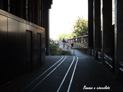 La Highline di New York: passeggiare 10 metri sopra la strada