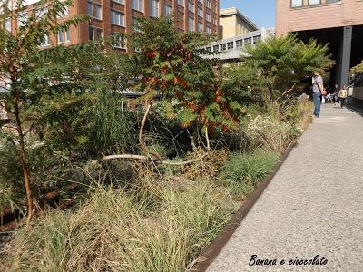 La Highline di New York: passeggiare 10 metri sopra la strada