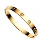 cartier-love-bracelet