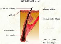 Tema: Questione di peling