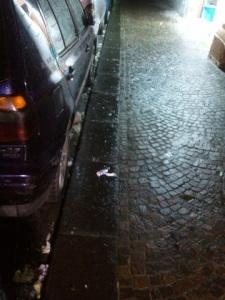 Napoli, a chi compete la pulizia delle strade?