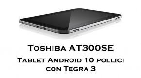Toshiba AT300SE - Logo