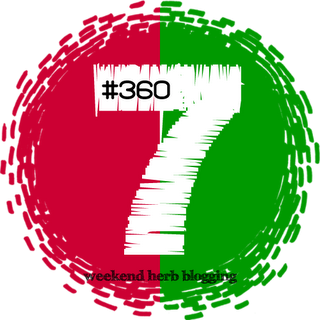 WHB #360 - Il raccolto