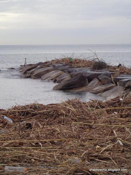 Il Mare d' Inverno,