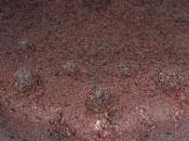 Torta “light” cacao