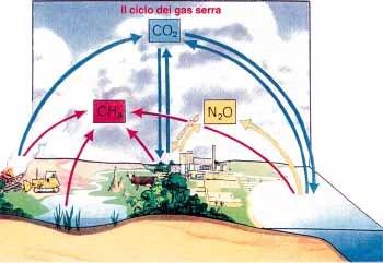 Allarme gas serra  Aumenta surriscaldamento del pianeta