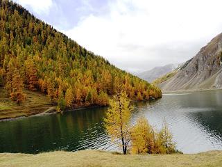 IL FORMAGGIO SCIMUDIN .... I COLORI DELL'AUTUNNO e ....