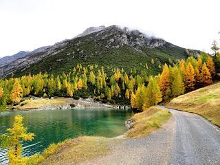 IL FORMAGGIO SCIMUDIN .... I COLORI DELL'AUTUNNO e ....