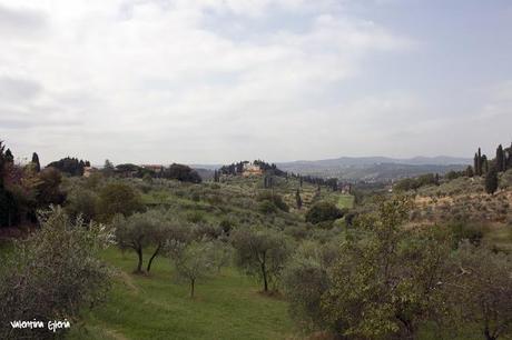 Sotto il sole della Toscana