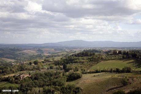 Sotto il sole della Toscana