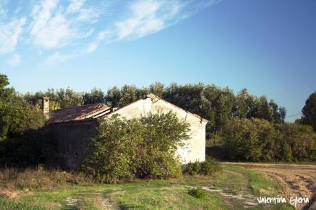 Cinque chilometri da casa