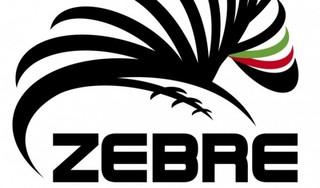 Zebre in campo domenica contro Ulster