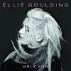 Classifica inglese:One Direction vetta.Nuovi video Sheeran(11),Ellie Goulding(40) Florence