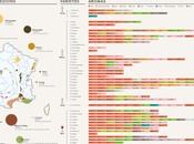 Vini francesi: un’infografica spiega varietà aromi