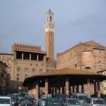 piazza del mercato a siena