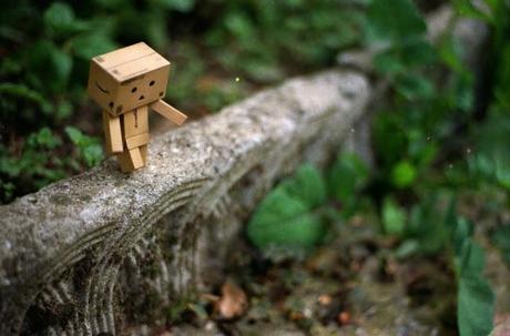 Danbo + DM Paradies 200 TEST ROLL