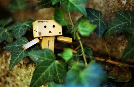 Danbo + DM Paradies 200 TEST ROLL