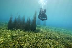 Il mistero del lago di Scanno