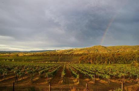 Agricoltura, la scelta di Chiara