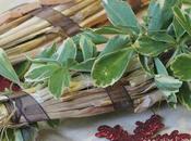 Progetti corso.. natalizi