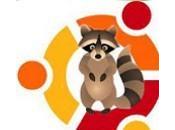 Ecco sfondo ufficiale Ubuntu 13.04 Raring Ringtail, potete scaricarlo adesso presto arriverà nella build Version