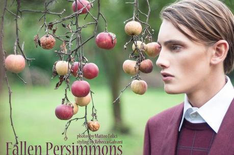 FALLEN PERSIMMONS MATTEO FELICI ITALO SOUZA KASPER JAREBLAD EDITORIAL