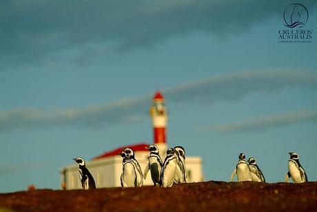 Rotta verso Capo Horn. In Patagonia con Cruceros Australis