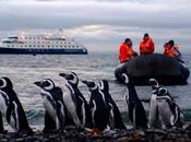 Rotta verso Capo Horn. Patagonia Cruceros Australis