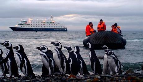 Rotta verso Capo Horn. In Patagonia con Cruceros Australis