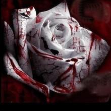 Genova-Begato Sedicenne si lancia dalla finestra e muore sul colpo