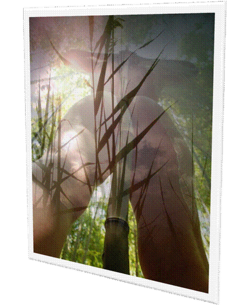 Photostimmung ● L'analemma figurativo di Mila