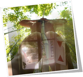 Photostimmung ● L'analemma figurativo di Mila