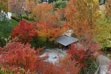 C’è tempo fino al 15 novembre per ammirare il “fall foliage” nei Giardini botanici di Sissi