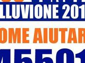 VENETO: manda solidale