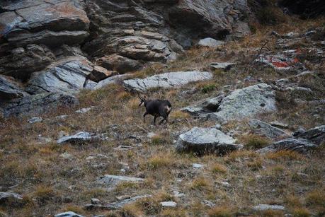 Parco Nazionale del Gran Paradiso