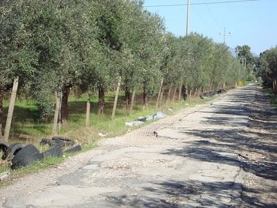 Benvenuti in Via del Querceto