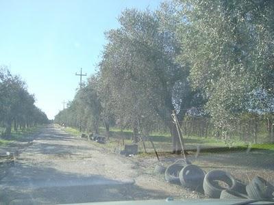 Benvenuti in Via del Querceto