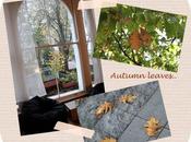 Autumn leaves..