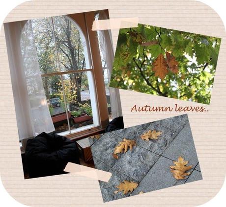 Autumn leaves..