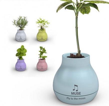 Muse: musical vase